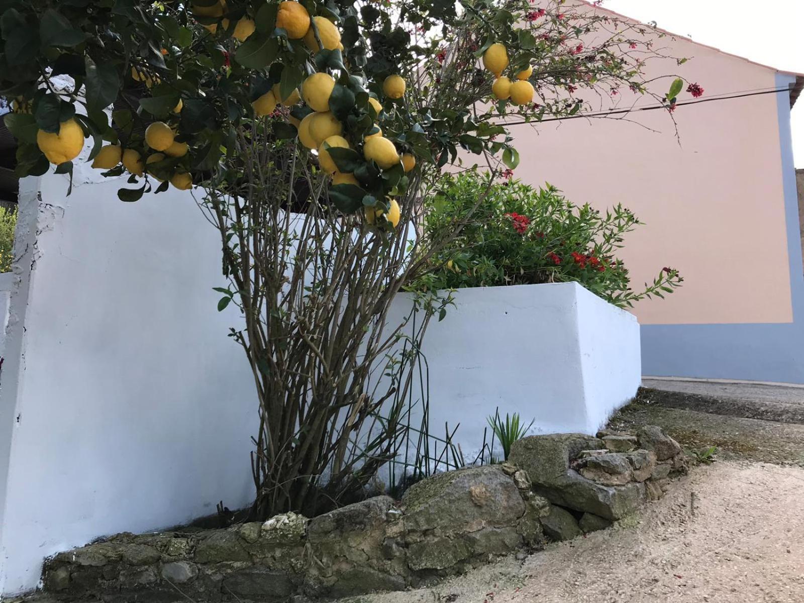 Casas Bemposta Villa Monchique Luaran gambar