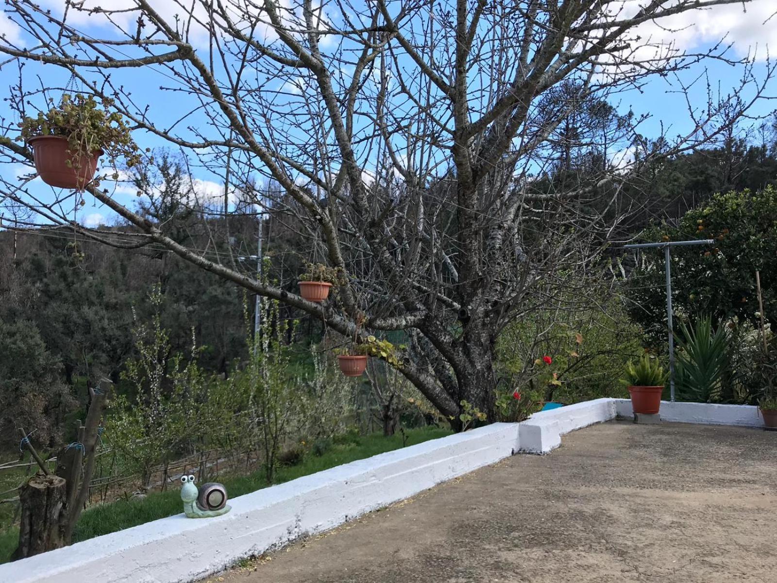 Casas Bemposta Villa Monchique Luaran gambar