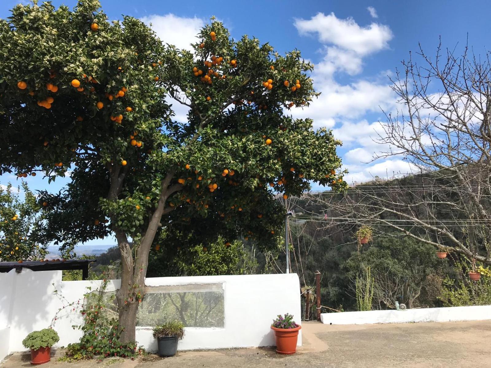 Casas Bemposta Villa Monchique Luaran gambar