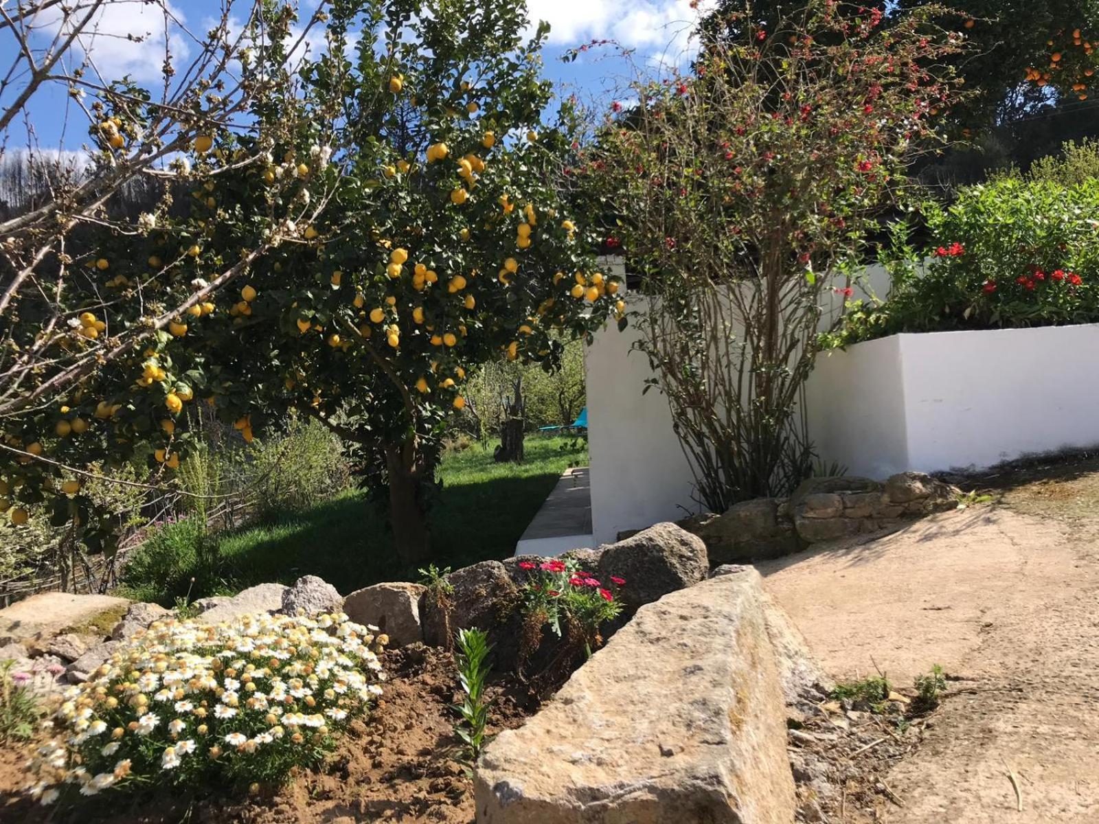 Casas Bemposta Villa Monchique Luaran gambar